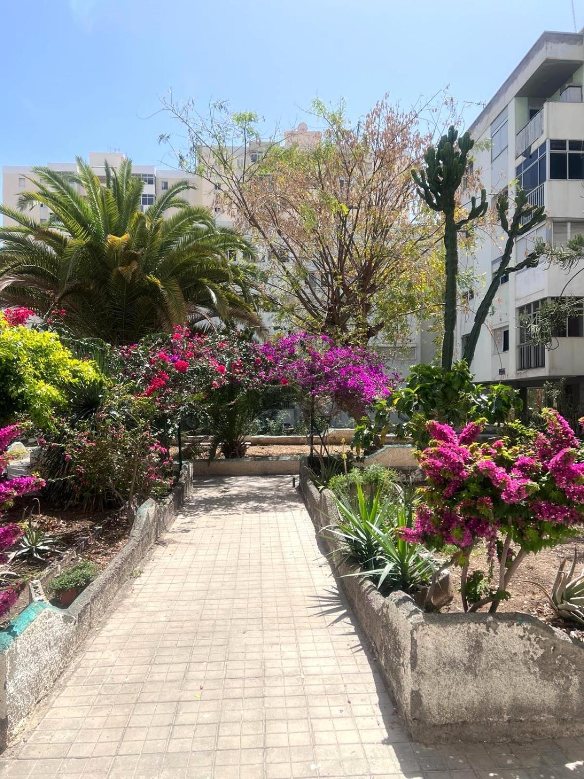 Relax Apartamento 7 Las Palmas de Gran Canaria Exterior foto